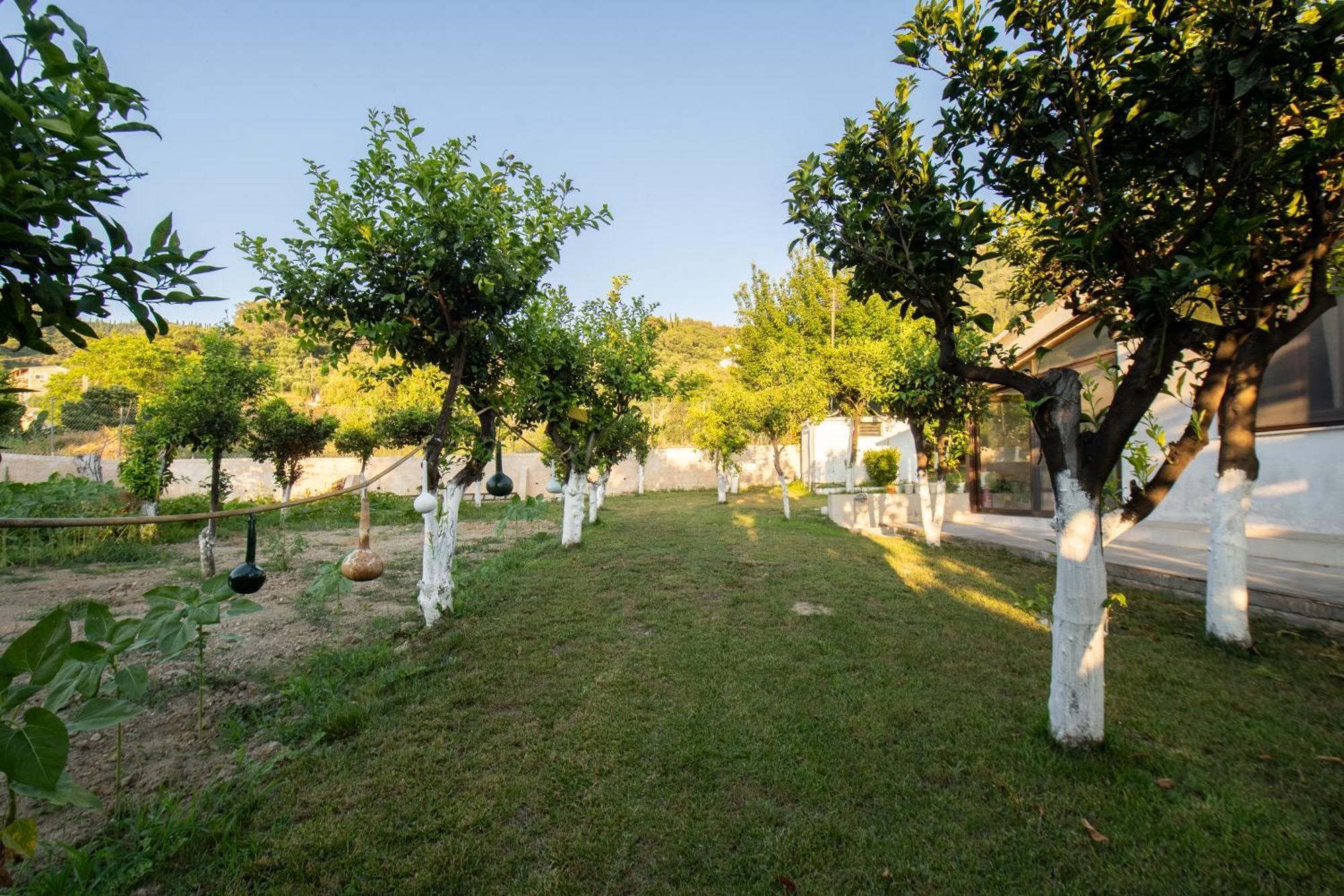 Villa To Ktimataki Agios Gordios  Exterior foto